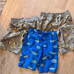 Hannah Anderson & Tea Collection Trunks Bundle